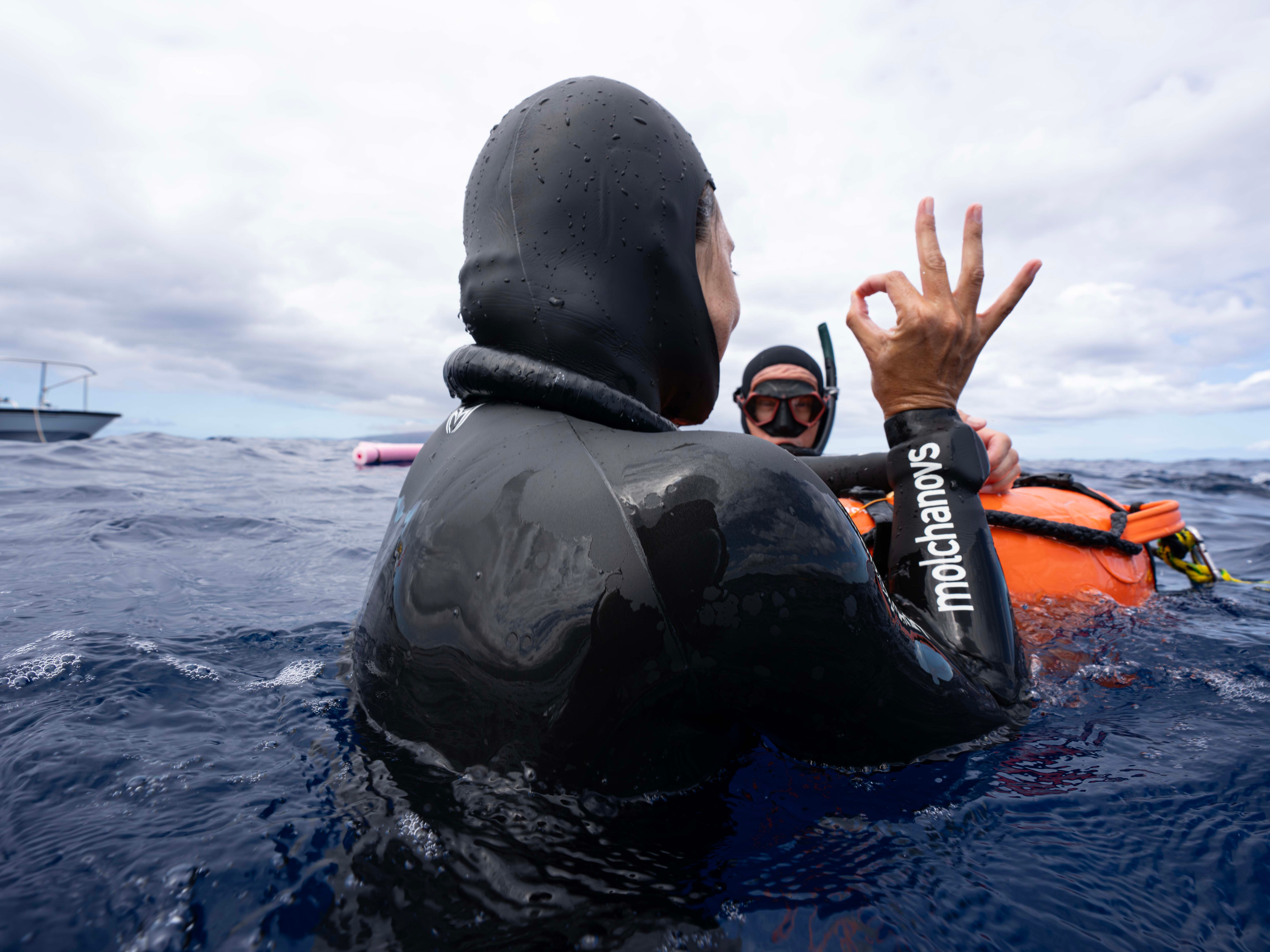 How to Check Your Molchanovs Freediving Instructor in 5 Seconds: A Step-By-Step Guide