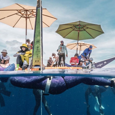 Molchanovs가 후원하는 지역 대회가 더 깊이 발전하고 있습니다.