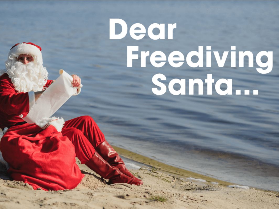 Dear Freediving Santa…