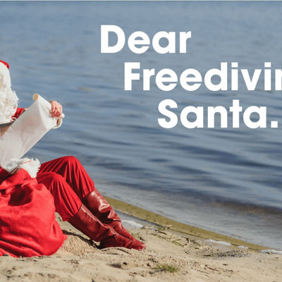Dear Freediving Santa…