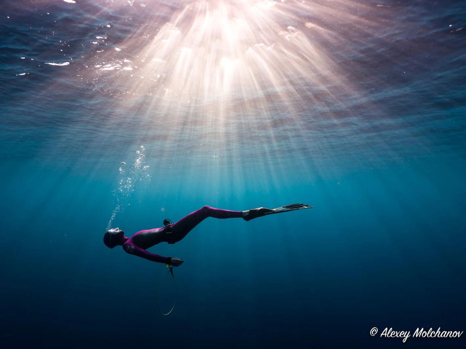 What is Freediving?