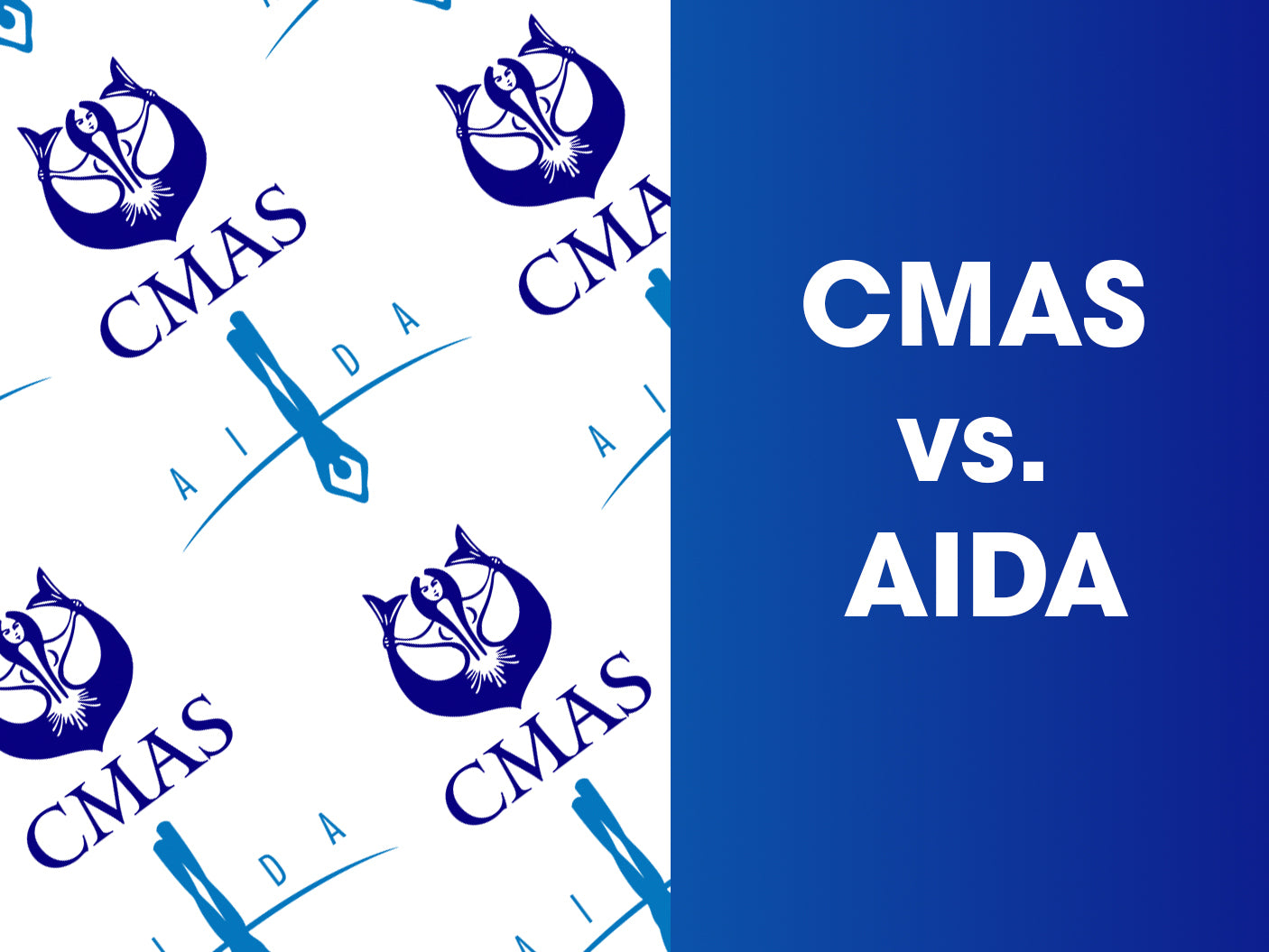 당신이 알아야 할 국제 프리다이빙 연맹: CMAS vs AIDA