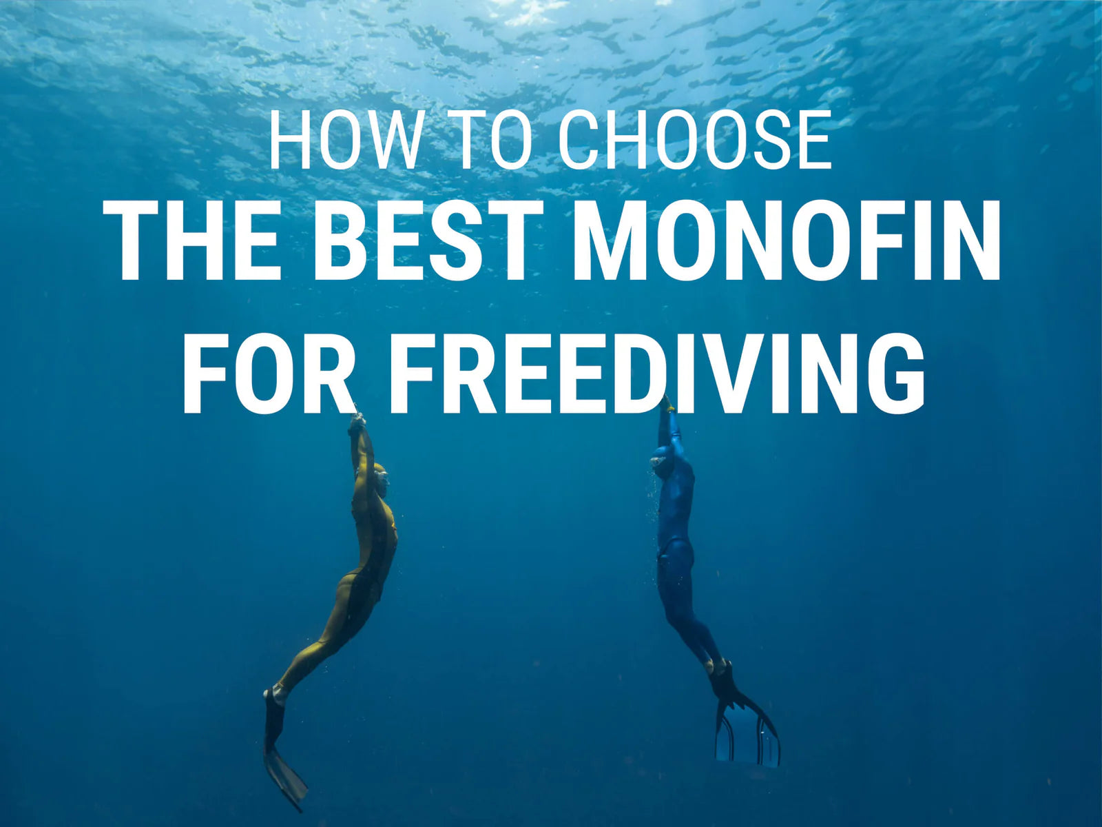 How to Choose the Best Monofin for Freediving