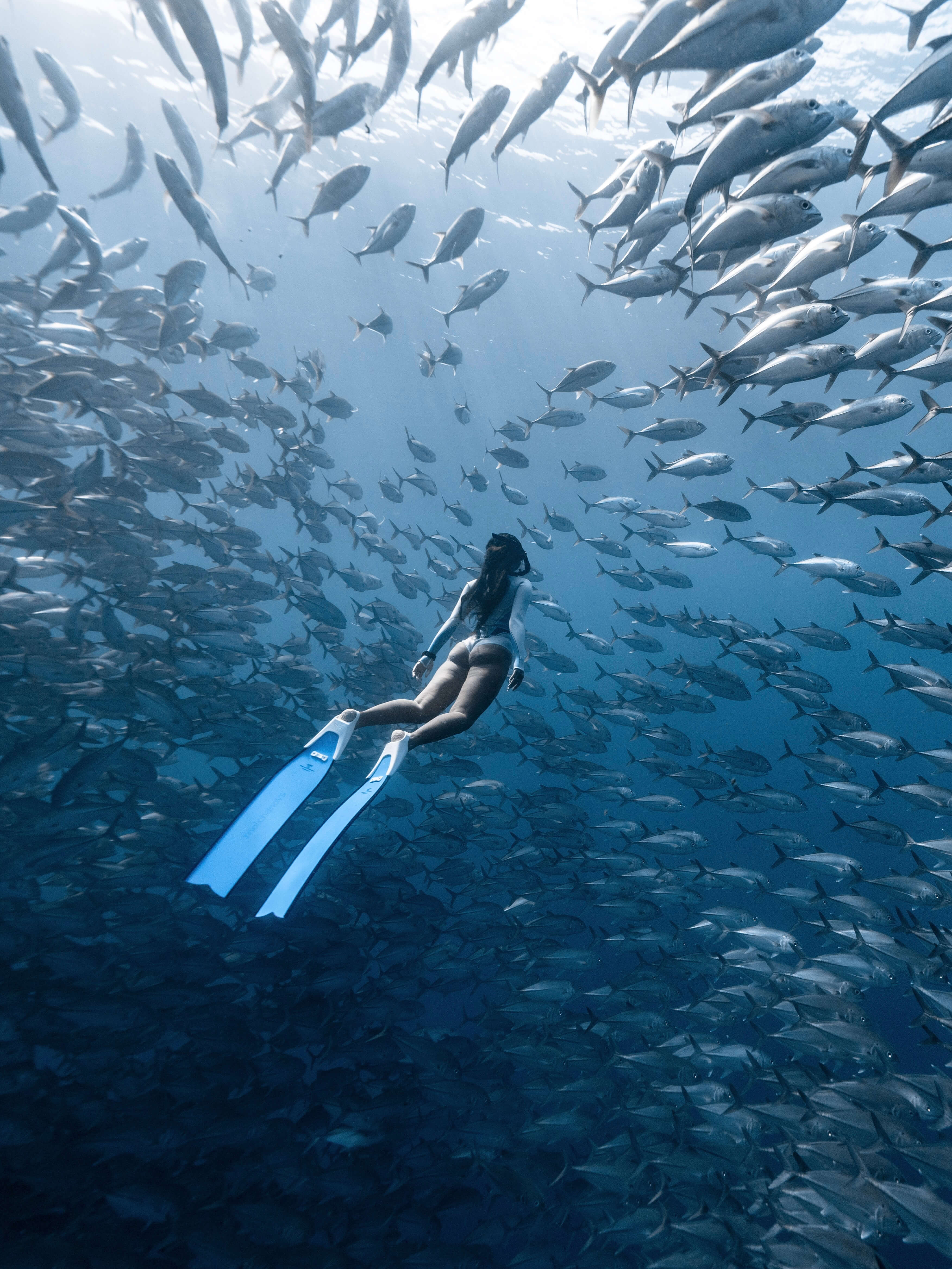 SPORT Bifins 3 Fiberglass