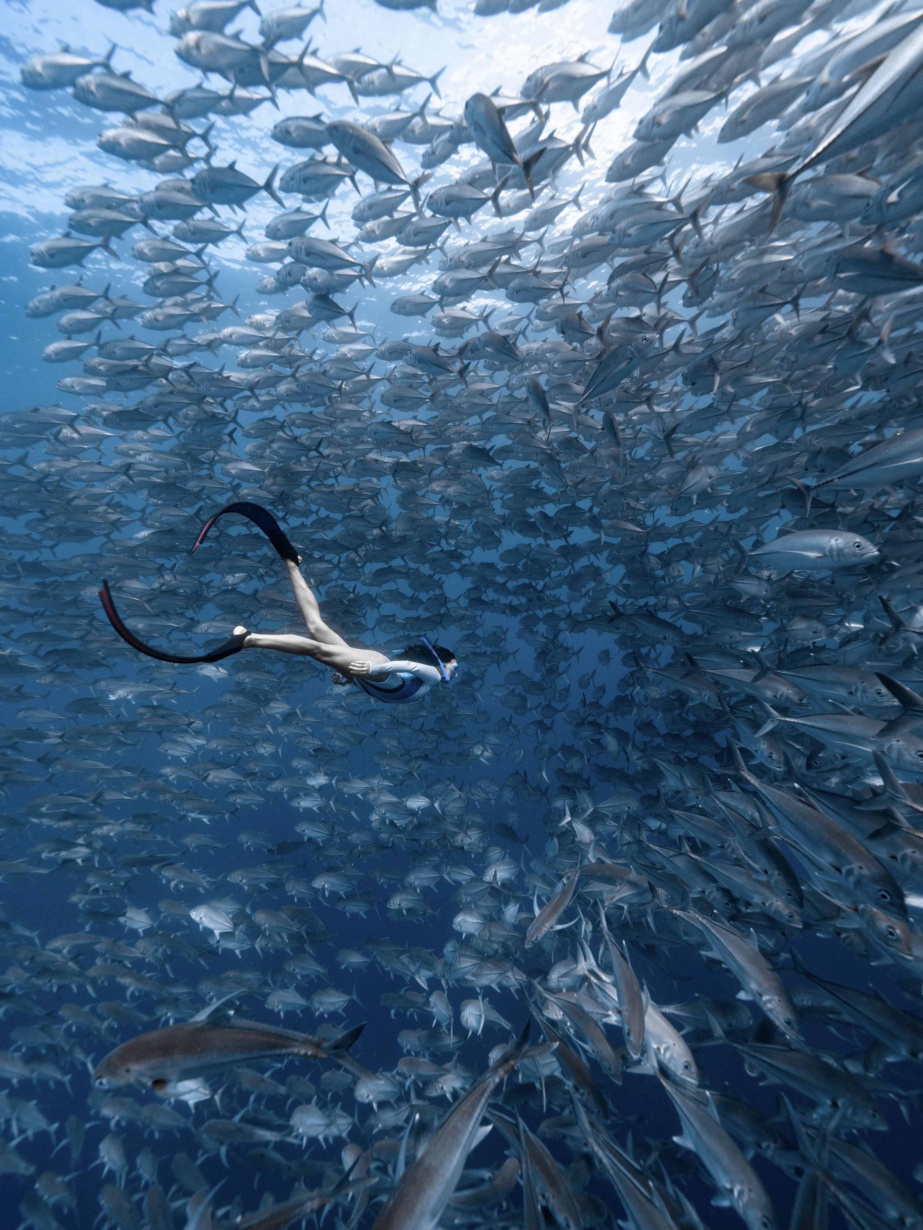 SPORT Bifins 3 Fiberglass