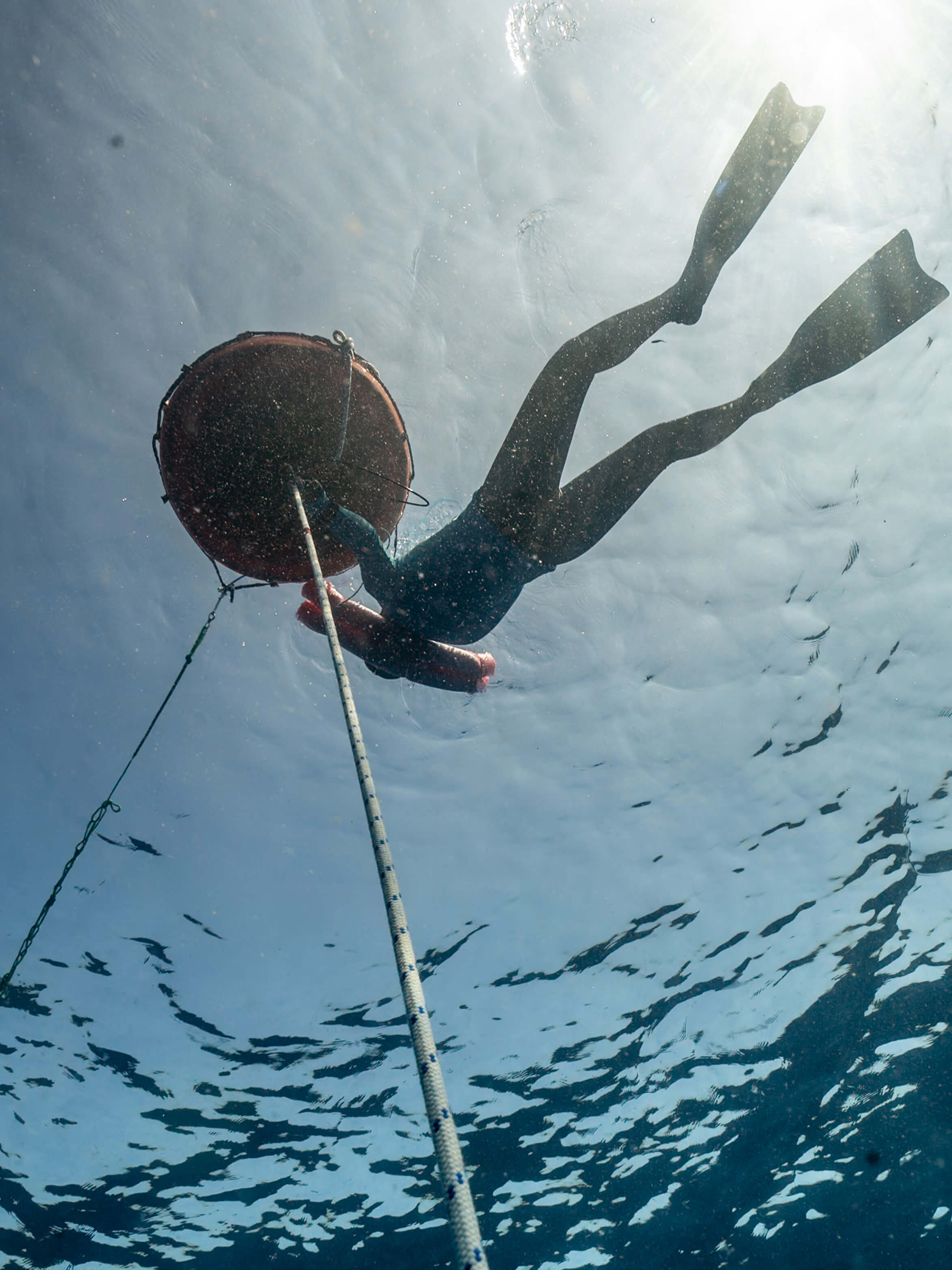 SPORT Freediving Buoy