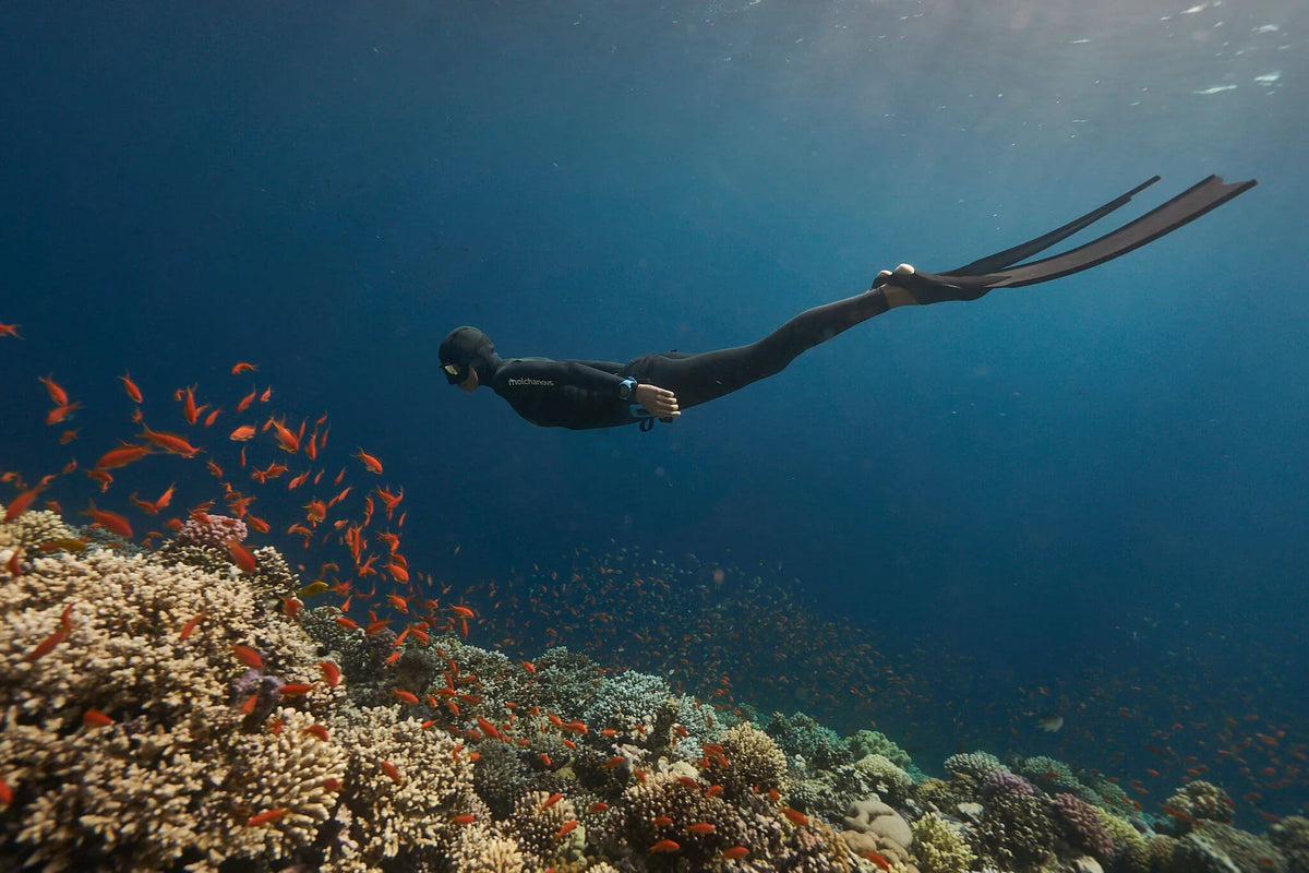 A freediver explores a coral reef with fish while wearing a freediving wetsuit